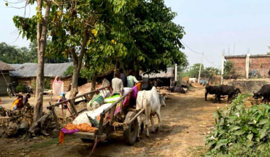 दबाबमा भारत–बङ्गलादेश सम्बन्ध