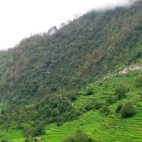 मोबाइल प्रेमको असर