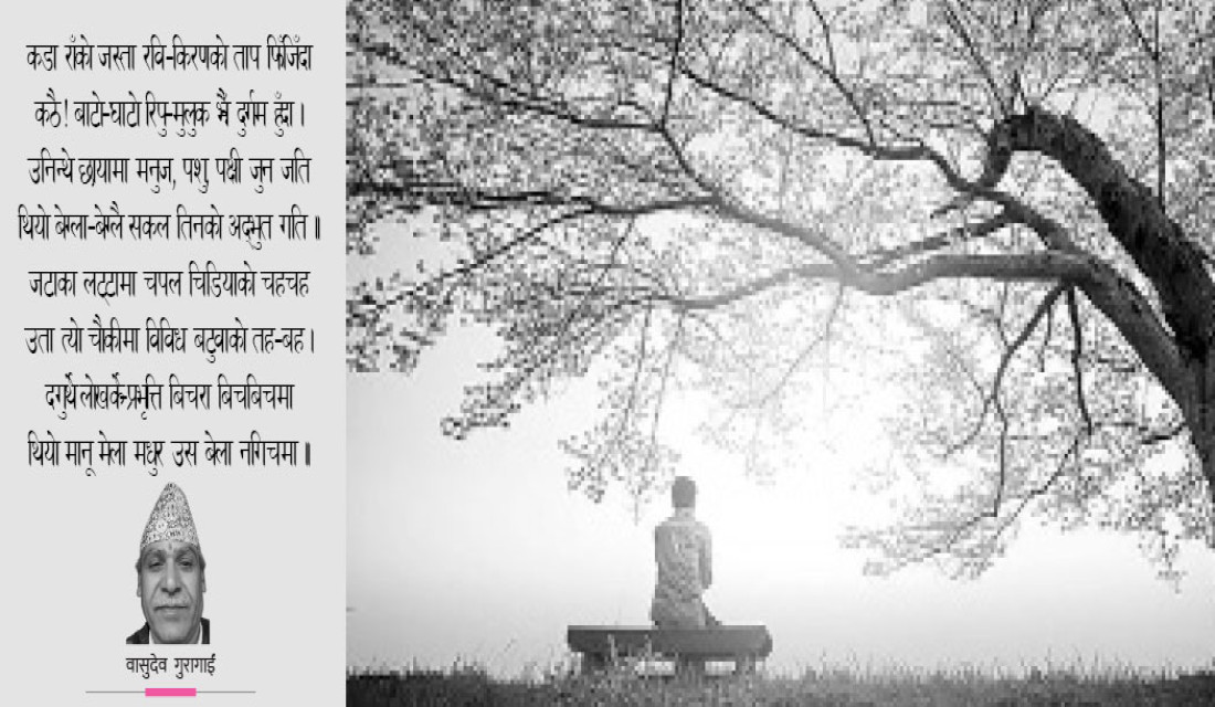 रुख र म (निबन्ध)