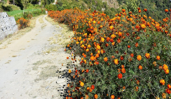 तीन तहका सरकारको समन्वय आवश्यक