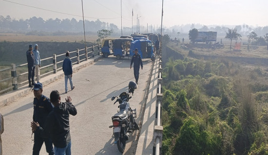 सडकछेउका रङ्गीन फूलले बढायो कुहुँको आकर्षण