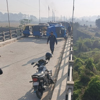 परम्परागत खेती छाडेर कामिनी पत्ता उत्पादनमा किसान