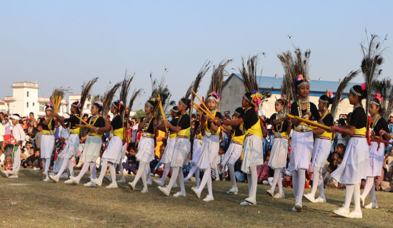 रनिङ्गशिल्डको मुख्य आकर्षण थारू जातिको लठवा नाच