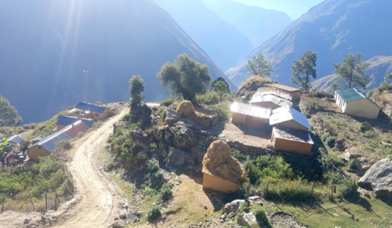 नाम्खा गाउँपालिकामा भालुको आतङ्क