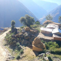 स्थापना दिवसका अवसरमा प्रेस सेन्टरको प्रभातफेरी