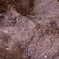 जेनजी आन्दोलनका सहिदः कहिल्यै भरिने छैन भट्ट परिवारको रिक्तता