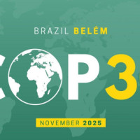 माछा र बालुवा छाडेर पतेरो खोजी