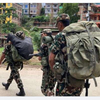 माछा र बालुवा छाडेर पतेरो खोजी