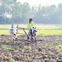 सडक मर्मत एम्बुलेन्स सुरु