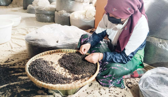 विदेशमा गर्दा आर्थिक बोझ