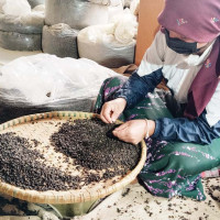 नेपालमा विदेशी : नाम विद्यार्थी, धन्दा अर्कै