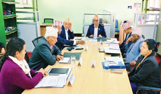 अन्तर्राष्ट्रिय उडान नियमित गर्न माग