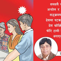 गरिबको गाई सानन बाख्रा !