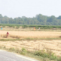 सुरुङ्गामा डुबेर एक वृद्धको मृत्यु