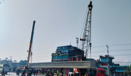 एउटै गोठमा ५७ वैदिक गाई संरक्षण