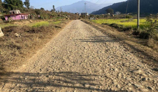 नेपालगन्जमा प्रहरीद्वारा पेस्तोल र गोली बरामद