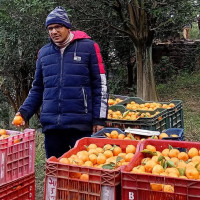 'मेलम्चीको पानी सिधै पिउन योग्य छ'