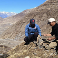 शीर्षक के  हो  ?