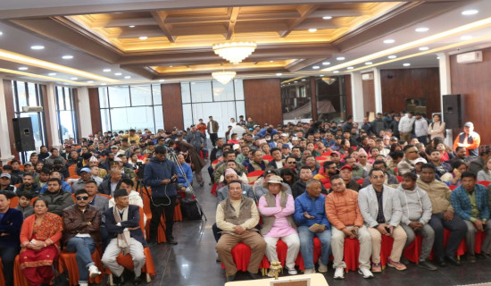 विद्यार्थी सवार जिप दुर्घटना, १० जना घाइते