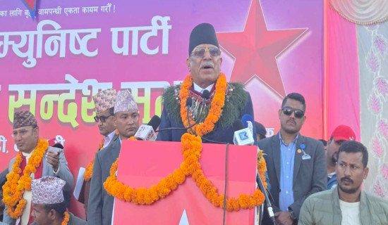 महिला हिंसाको ८१ प्रतिशत कारक पुरुष