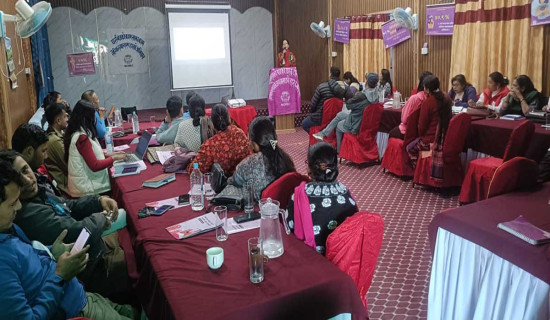 महिला हिंसाको ८१ प्रतिशत कारक पुरुष