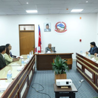 रुख काट्ने क्रममा एक जनाको मृत्यु