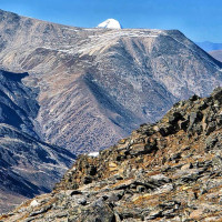 सरकारी सम्पत्तिको व्यवस्थापन  : विषयगत प्रश्नोत्तर