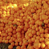 बजेट कार्यान्वयन प्रक्रिया : विषयगत प्रश्नोत्तर