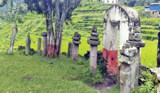 सुविधा कटौतीमा संसद्को असन्तुष्टि