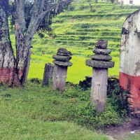 ‘सङ्घीय सरकारले अधिकार प्रत्यायोजन गर्नु पर्छ’