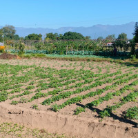 समावेशीकरणको दिशामा नयाँ फड्को : गोरखापत्रद्वारा प्रकाशित किसान  भाषा