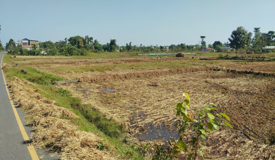 सगरमाथा विमानस्थल चर्चामा मात्रै