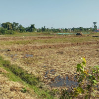 राजनीतिज्ञको व्यावसायिक जीवन, थाल्नुभन्दा टिक्नु महत्त्वपूर्ण