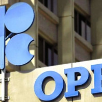 एनपिएलः पोखराले लुम्बिनीलाई दियो १५१ रनको लक्ष्य