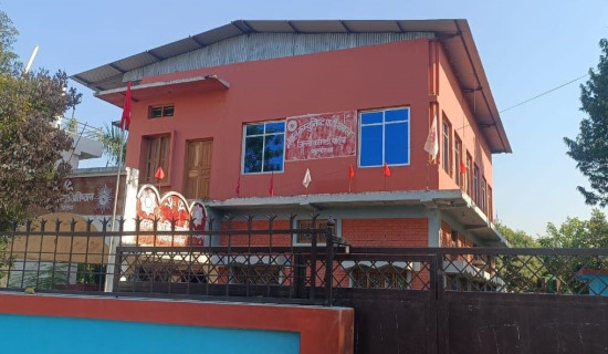 एनपिएललाई स्पिरिट अफ क्रिकेट अवार्ड