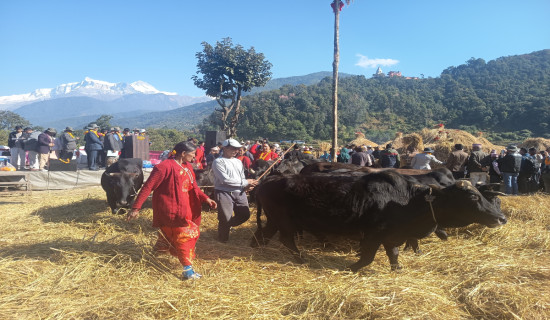 एमाले बर्दियाबाट १५ प्रतिनिधि सर्वसम्मत