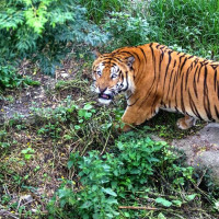 एमाले बर्दियाबाट १५ प्रतिनिधि सर्वसम्मत