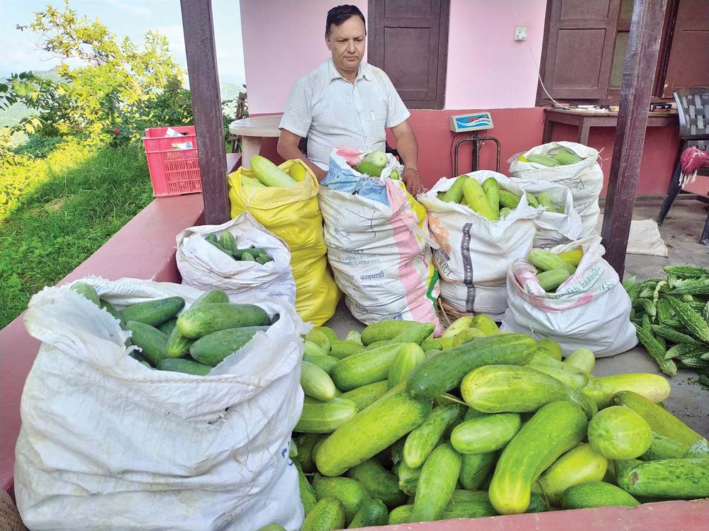 कृषिबाटै तेह्र करोडको सम्पत्ति