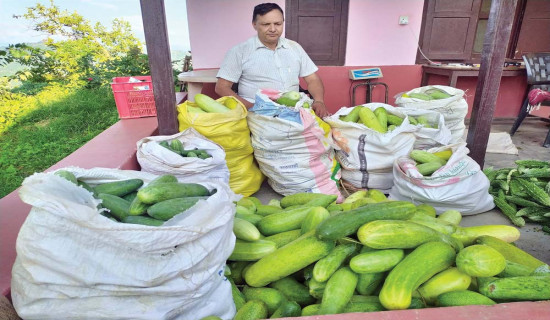 कृषिबाटै तेह्र करोडको सम्पत्ति