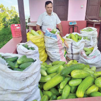 राष्ट्रिय विभूति जयपृथ्वीबहादुर सिंह
