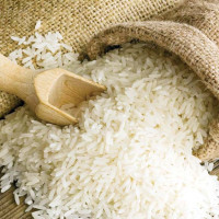 बेवारिसे कुकुर व्यवस्थापनमा युवाको सराहनीय पहल