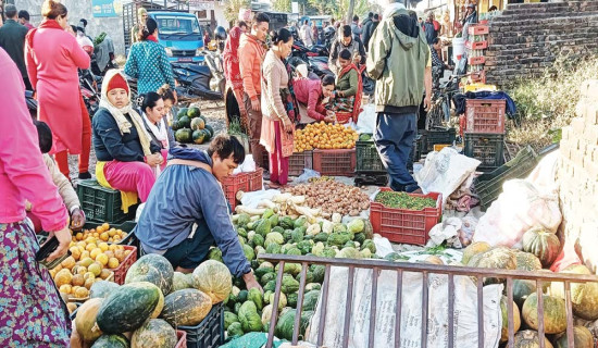 मधेश झरे पहाडका तरकारी