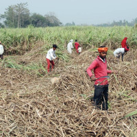 नर्सको तलबमा सरकारले कडाइ गरेपछि मन्त्रालयको बैठक बहिष्कार गर्दै निजी अस्पताल