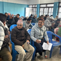 देसारलाई अरनिको कला पुरस्कार