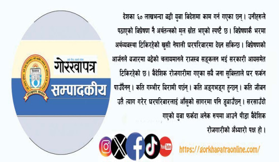 सार्वजनिक संस्थान अर्थतन्त्रका प्रमुख आधार