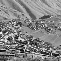 अबैध सालको गोलिया बरामद