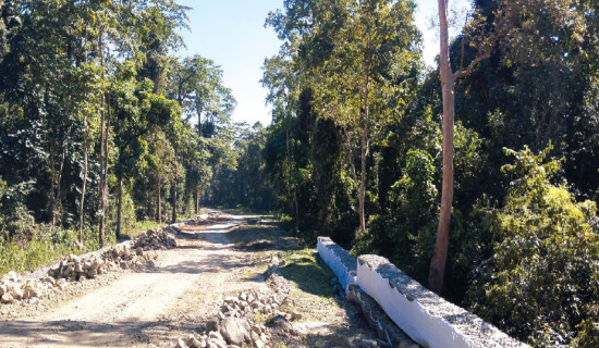 राजमार्ग निर्माण क्षेत्रका रुख हटाइँदै