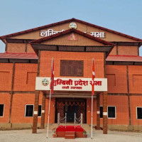 सरोकार मञ्चको अध्यक्षमा बम