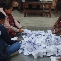 मौरीको पनि कृत्रिम गर्भाधान