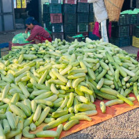 सुनचाँदीको मोल निरन्तर बढ्दो